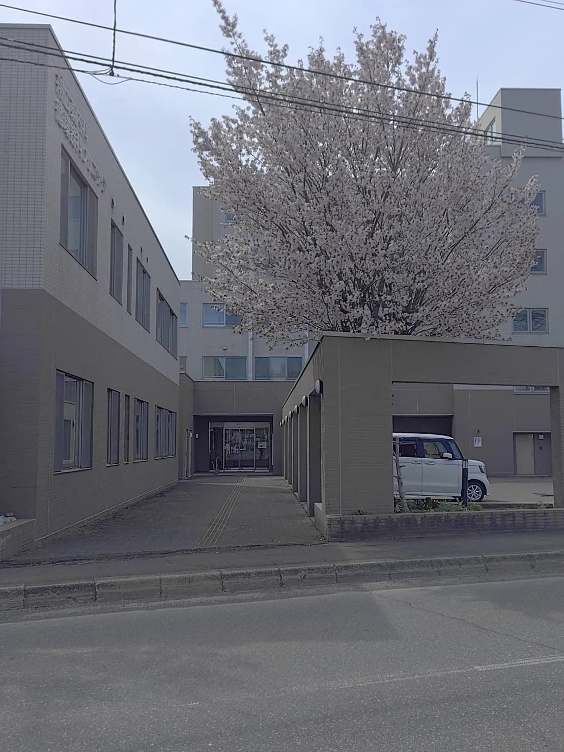 しょうとくクラブ帯広東教室 外観 — 春の満開の桜と施設エントランス(帯広市 学習支援特化型 児童発達支援・放課後等デイサービス)