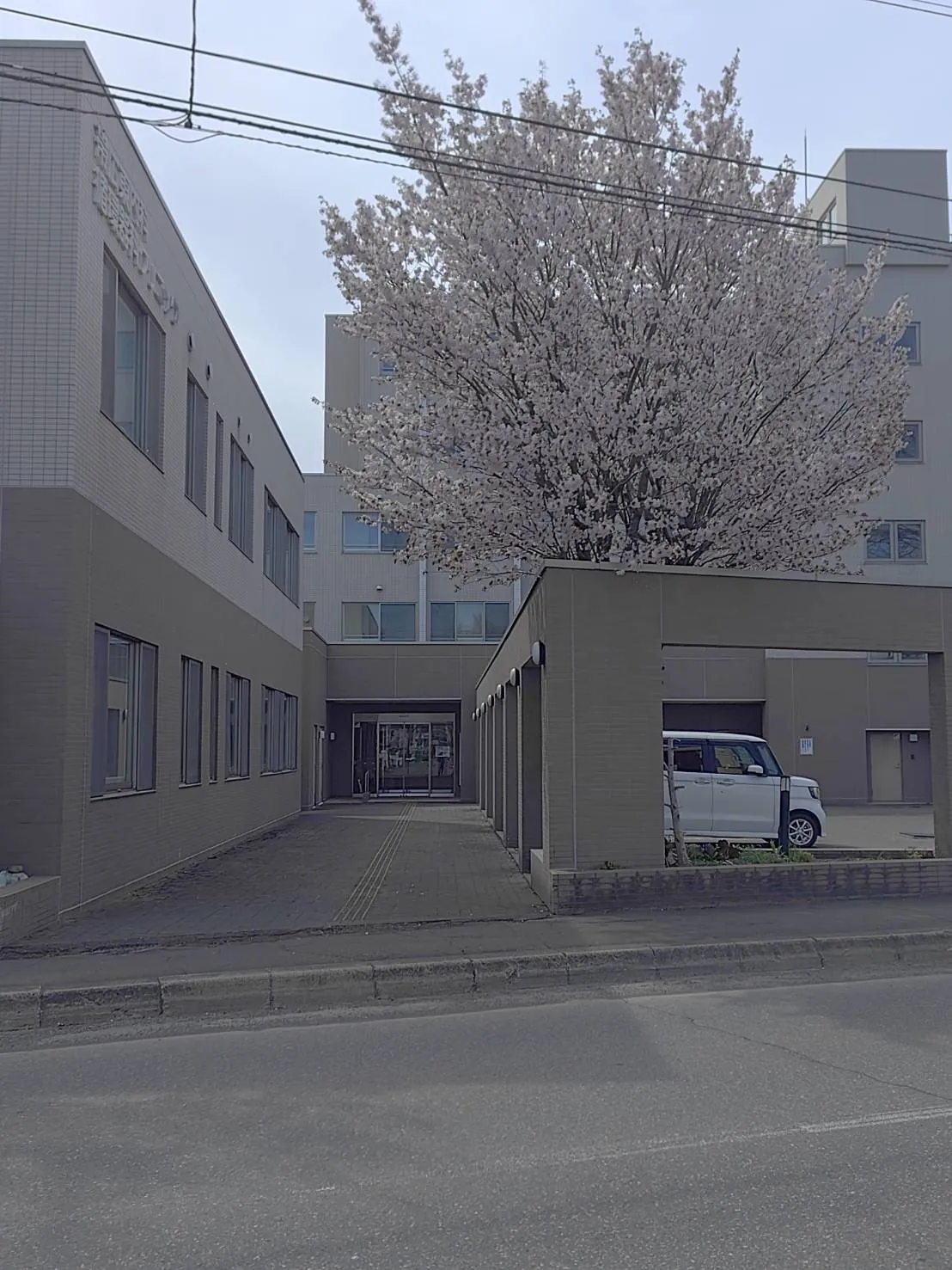 しょうとくクラブ帯広東教室 外観 — 春の満開の桜と施設エントランス(帯広市 放課後等デイサービス)